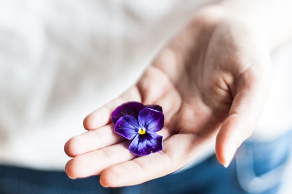 Photo by Alex Lvrs - Hand gently holding a violet flower
